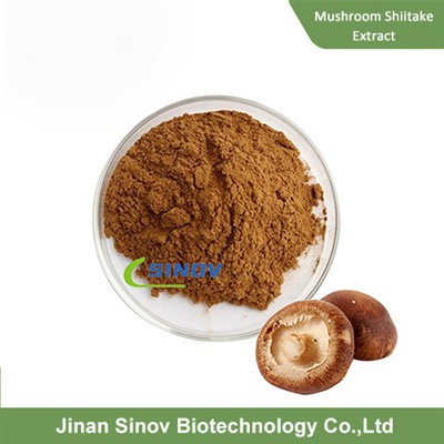 Organický hubový shiitake extrakt