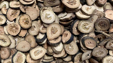 Citrus Aurantium Extract Citrus Aurantium Extract